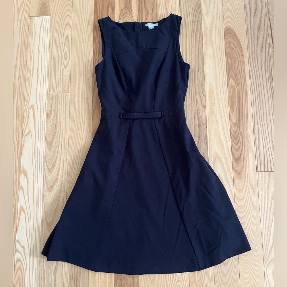 Navy Blue H&M Fit and Flare Dress